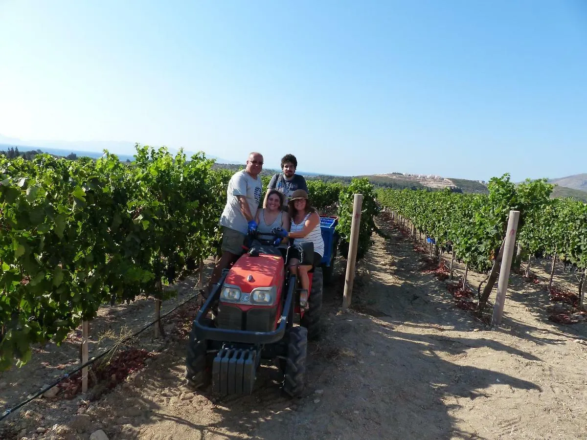 Datca Vineyard Guesthouse 2*,