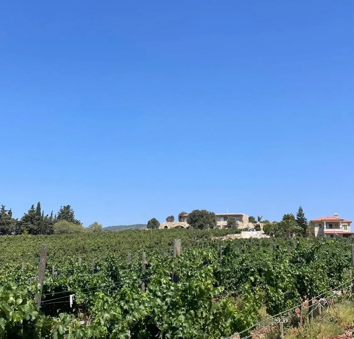 Datca Vineyard Guesthouse Türkei